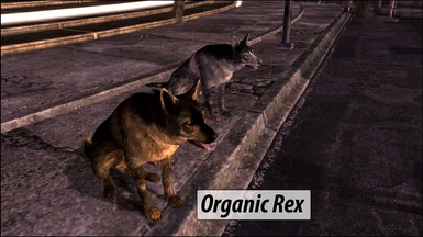 More Organic Rex