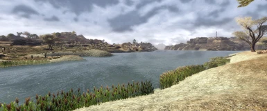 Natural Waters For New Vegas