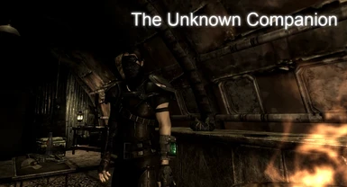 The Unknown Companion