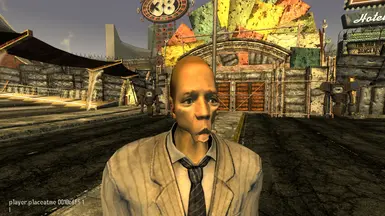 Top Fallout New Vegas Mods That Rival Obsidian's Work — Eightify