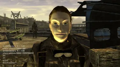 Top Fallout New Vegas Mods That Rival Obsidian's Work — Eightify