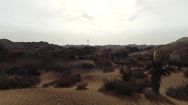 Mojave Sandy Desert