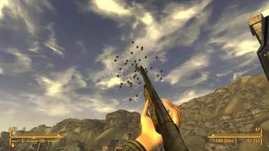 gun
