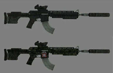 Marksman Carbines with mods