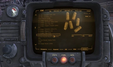 The icon in the pipboy