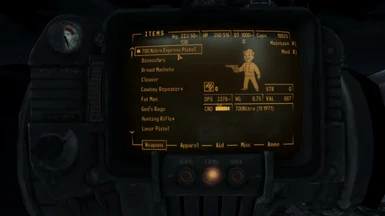 Pipboy View