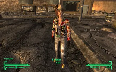 New Cass Armor Companion