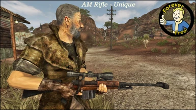AM rifle