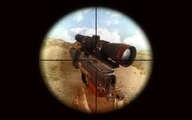 Browning with Vanilla scope 2