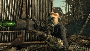 fallout 3 tale of 2 wastelands