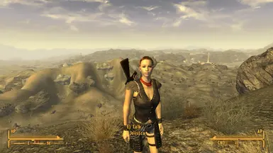 Simple Follower at Fallout New Vegas - mods and community