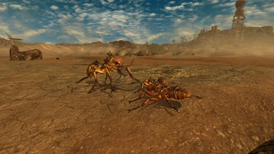 Fire Ant v Giant Ant - Mortal Enemies