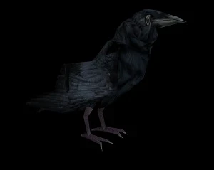 So what its just a Raven -- Yeah but its a RobCo Weaponized Raven