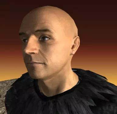 bald1