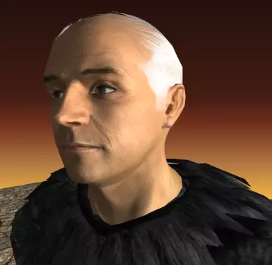 bald2