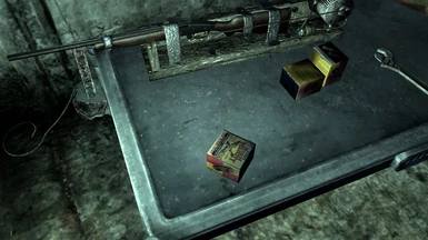 12G  ammo box in game