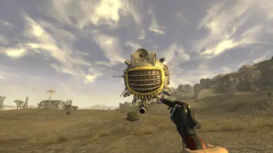 First Person View