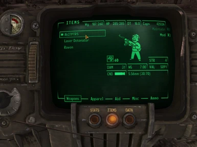 On Pipboy
