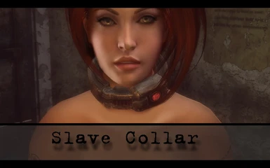 fall out 3 slave collar