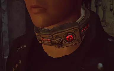 slave collar fallout 4