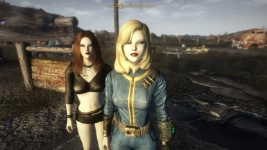 Fallout 3 Mods PC - Mannequin Race Companions 