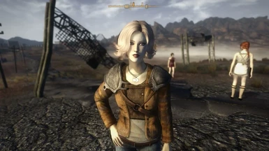 Fallout New Vegas PC: NPC Overhaul - DragRaces 