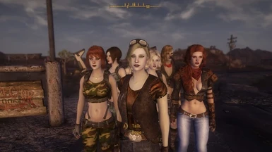 Mannequin Race NPC Overhauls at Fallout New Vegas - mods and community