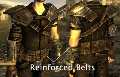 reinforced belts