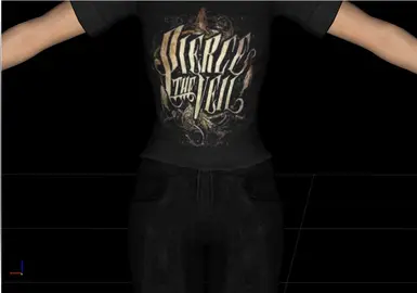 ptv nifskope