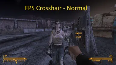 fallout new vegas solid project