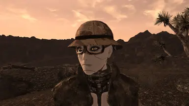 New Gobi Helmet
