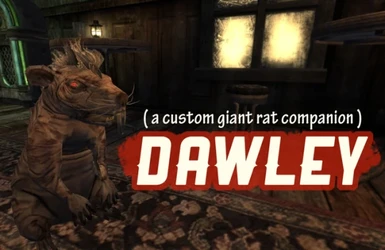 Dawley - Albino Giant Rat Companion