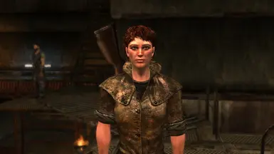 FCO - Sensible Character Creation Race Options for Fallout Character  Overhaul - Nexus Fallout New Vegas RSS Feed - Schaken-Mods