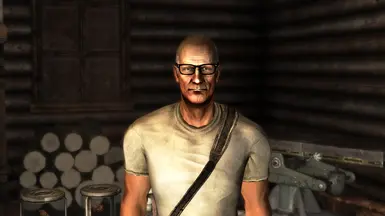 Fallout Character Overhaul v231 at Fallout New Vegas - mods and community