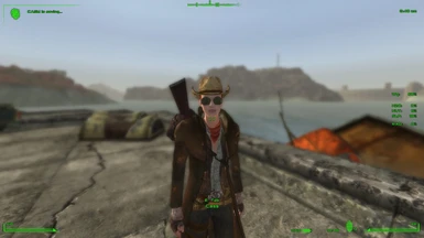 HUD Like Fallout 4 (NV) at Fallout New Vegas - mods and community