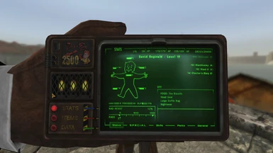 PipBoy Stats