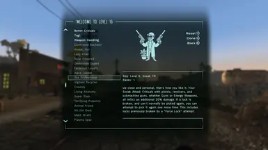 Raiden's Perks at Fallout New Vegas - mods and community