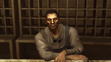 fallout new vegas character overhaul textures missing