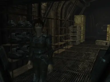 new vegas multiplas rifle