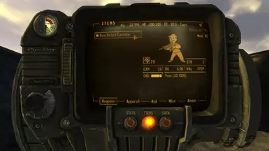 Custom Pip-Boy Icon