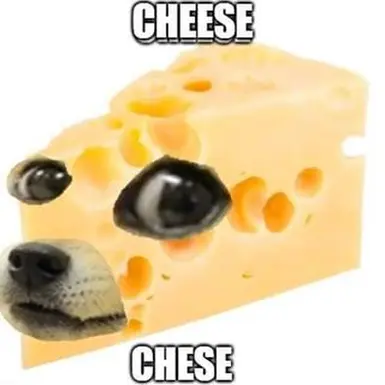 Cheese Tits