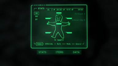 fallout 4 pipboy remover