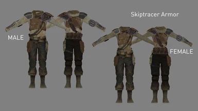Skiptracer Armor (Added in v3.1)