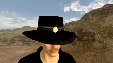 Paladin Hat