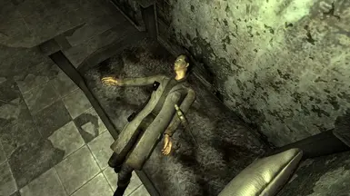 fallout new vegas auto doc fallout new vegas auto doc