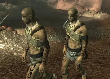 This Fallout New Vegas Mod introduces a playable Android race