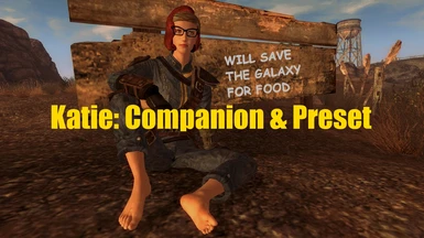 Companions of Fallout 3 and New Vegas - Presets at Fallout 4 Nexus