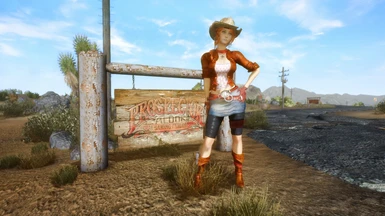 Starting Gear Packs at Fallout New Vegas - mods and community