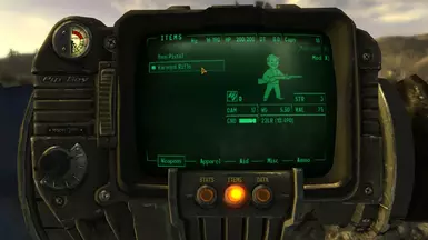 Custom Pip-Boy Icon