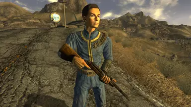Third-Person View